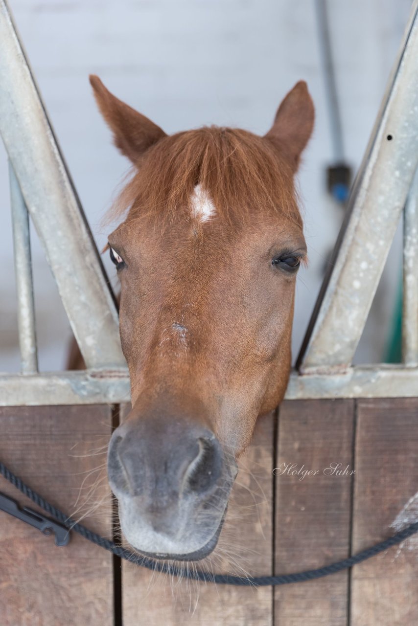 Bild 111 - Pony Akademie Turnier